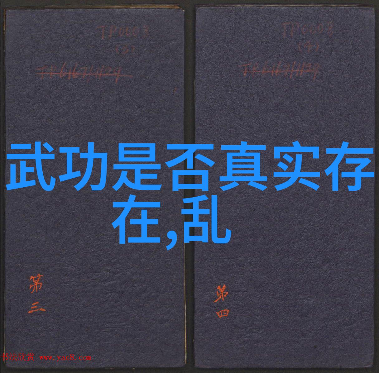 江湖风云武术大师的隐秘之战