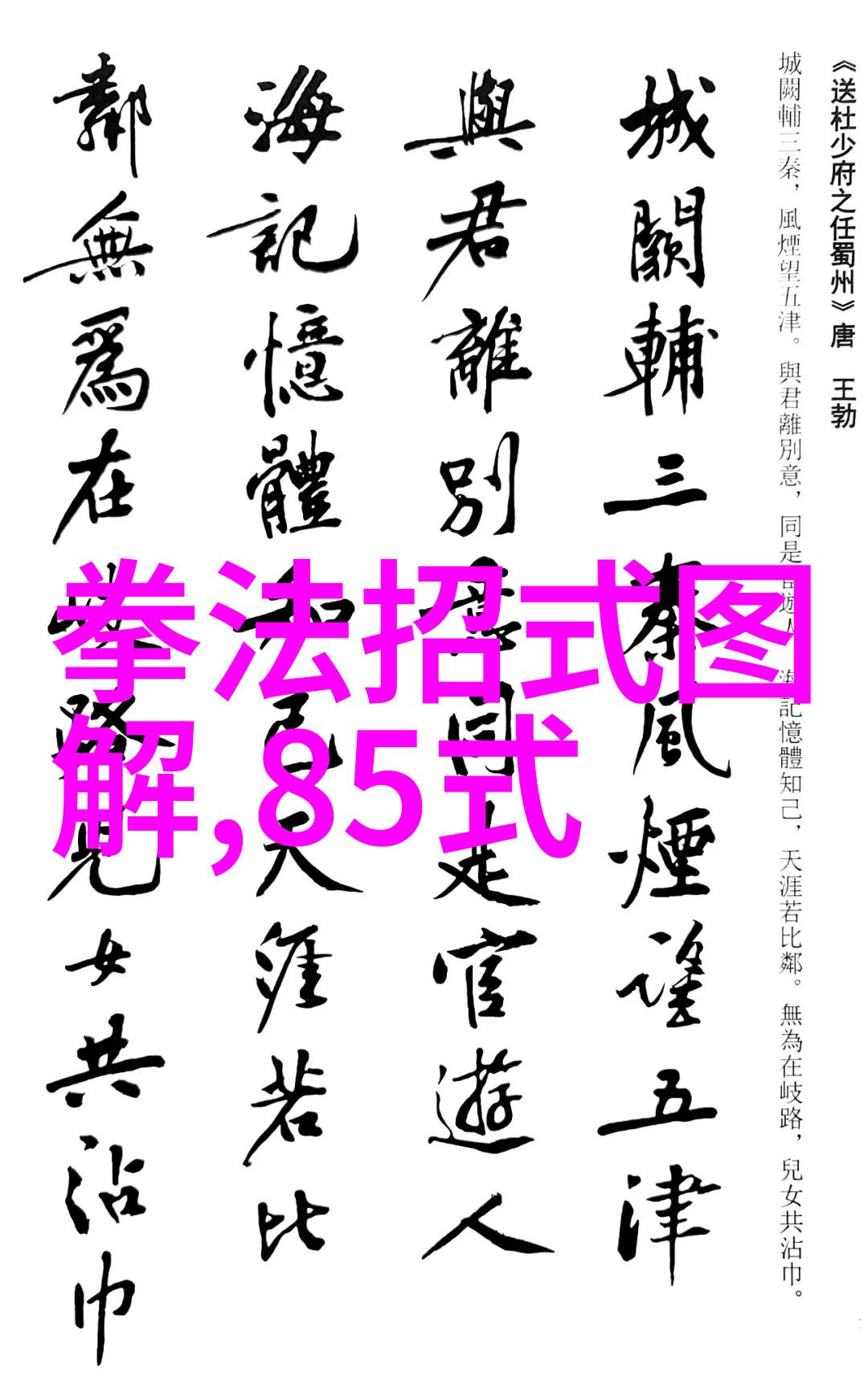 太极拳历史探究及未来发展策略调查研究揭秘自然中的基础武功秘籍-王凯源