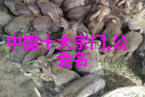 张艺兴教你爆笑反握哑铃卧推让胸肌动起来
