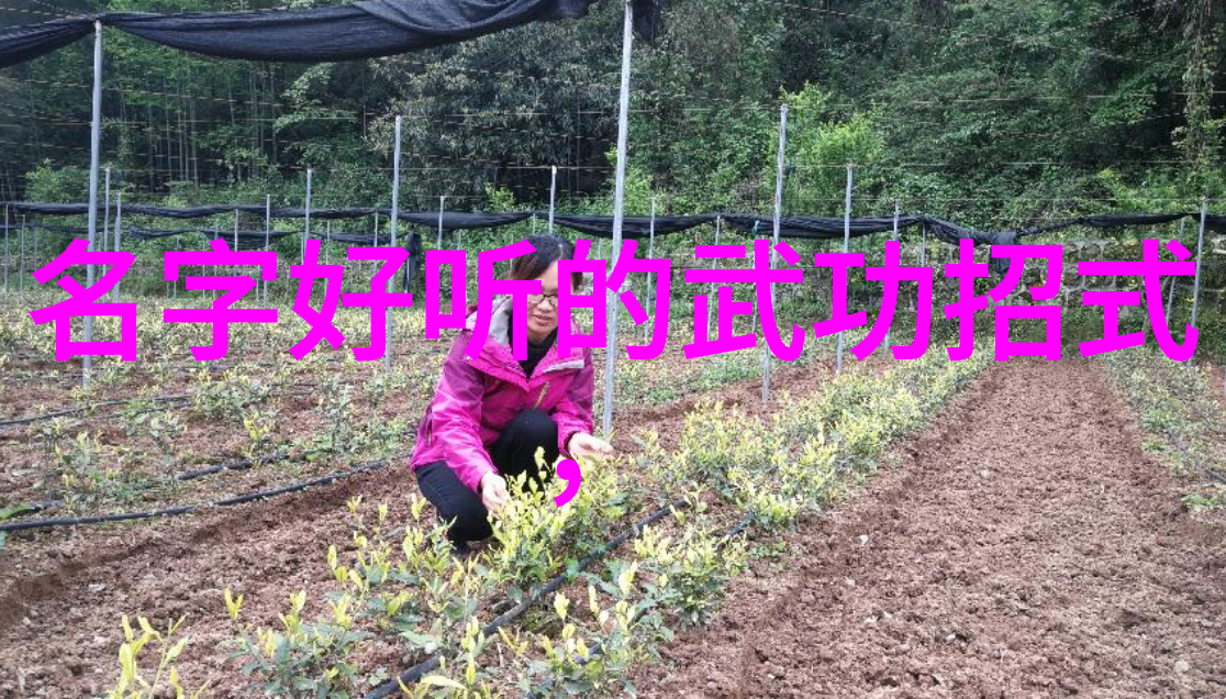 武林秘籍大全内含千年古法