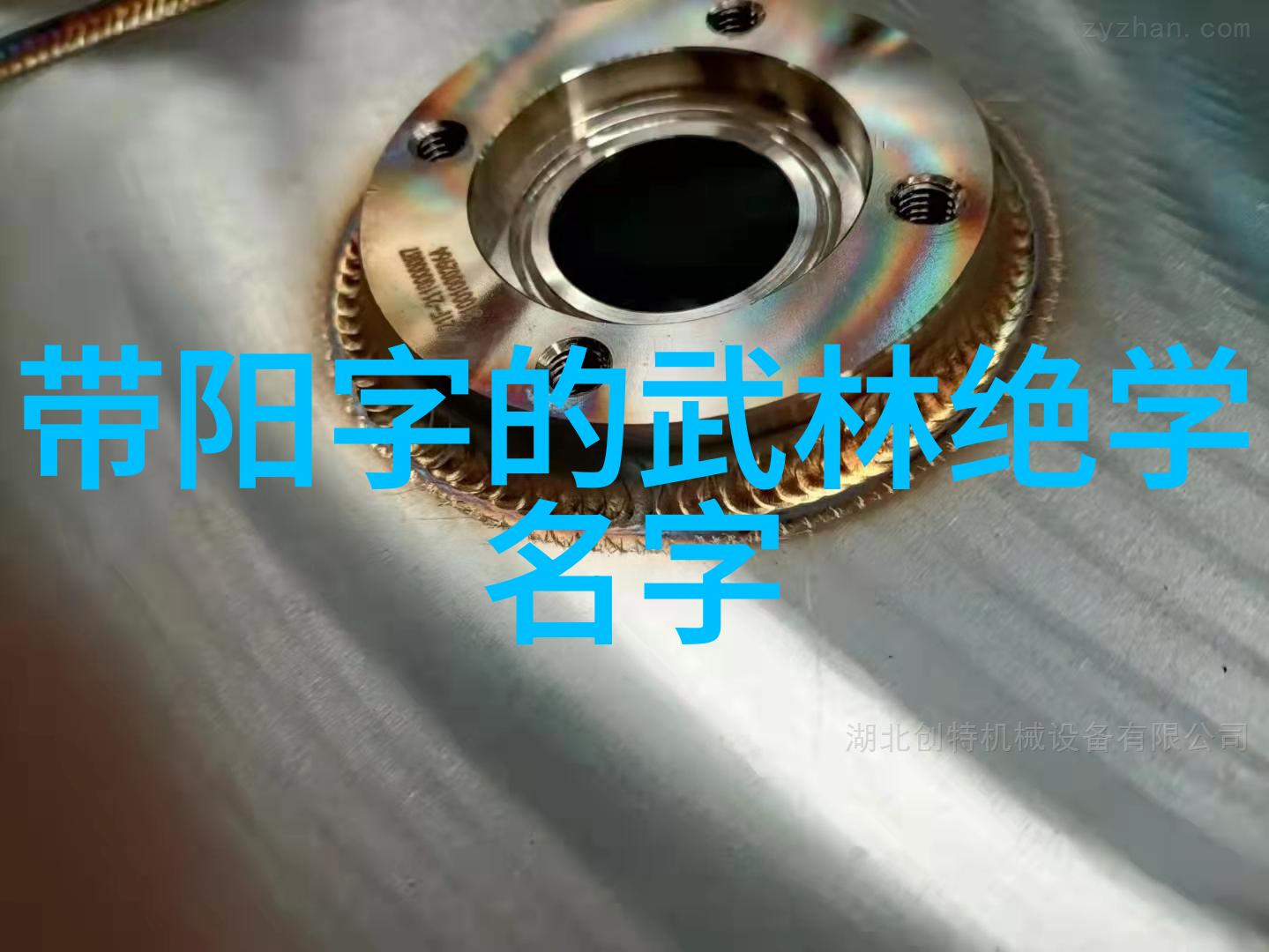 舞动四方探索四十式太极拳的口令秘笈