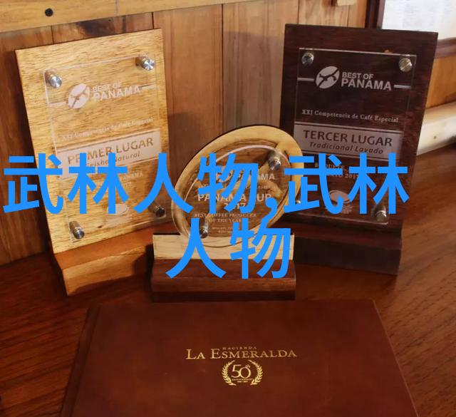 习练太极拳社会各界人士不断寻求武功秘籍图片积累技艺