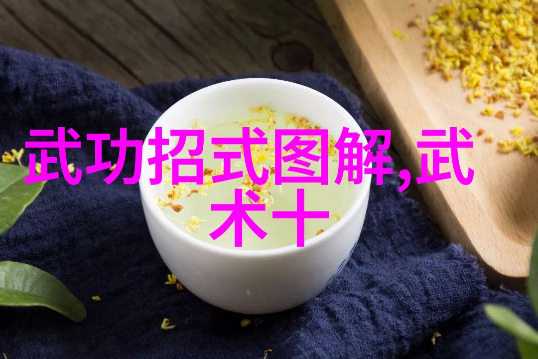 太极拳24式分解动作教学在自然之中探究身气意的和谐融合-程元江