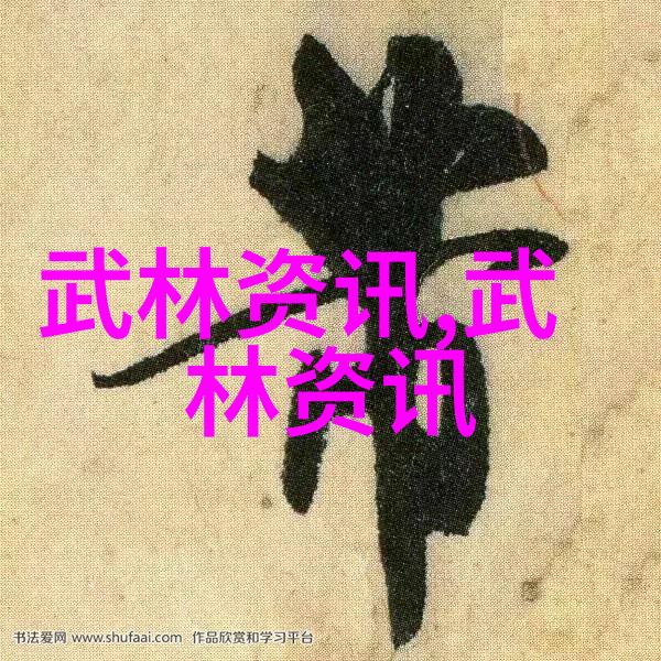 南拳和华拳哪个厉害-风暴中的双拳南拳与华拳的对决