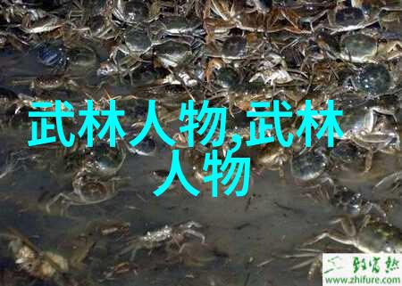 掌握太极拳的精髓深入浅出24式慢练方法
