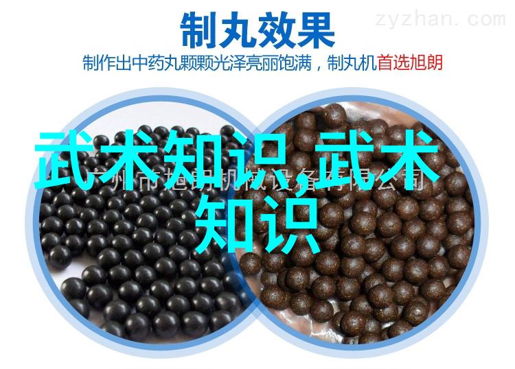 武当成师一道长功夫馆武当山的古老修炼之地