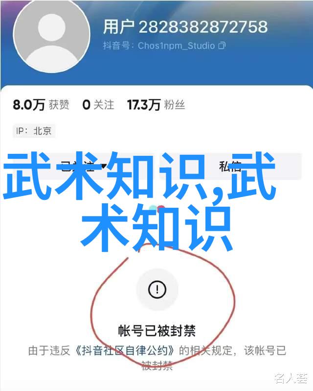 武林风云赵氏玄门逍遥桩名动江湖
