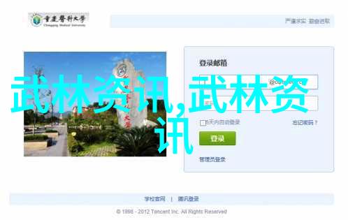 中国传统武术拳法我亲自体验的揭秘如何一招鲜成大器