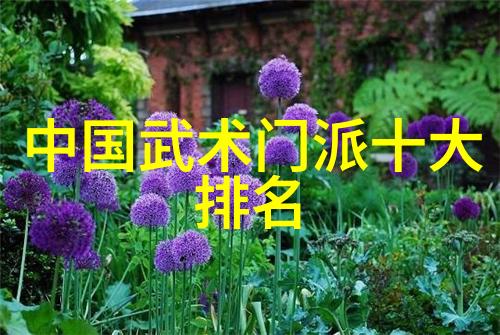 中国功夫新风尚揭秘那些在国际上大放异彩的少林弟子们