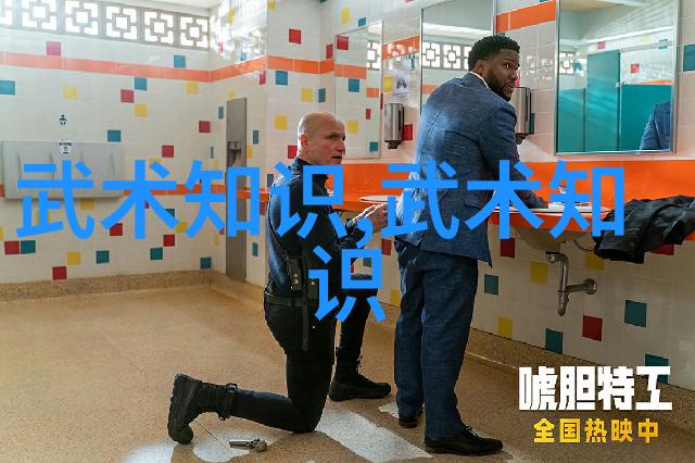 武术修炼境界划分大全我是如何从一名初学者成为武林高手的