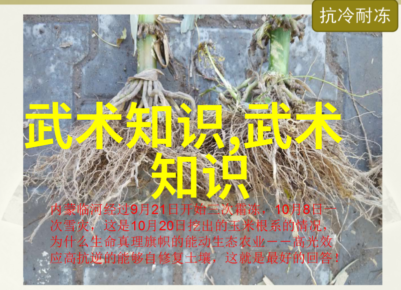 捷马自行车惊魂弗鲁姆与摩托车激烈碰撞黄金时间渔翁得利一线