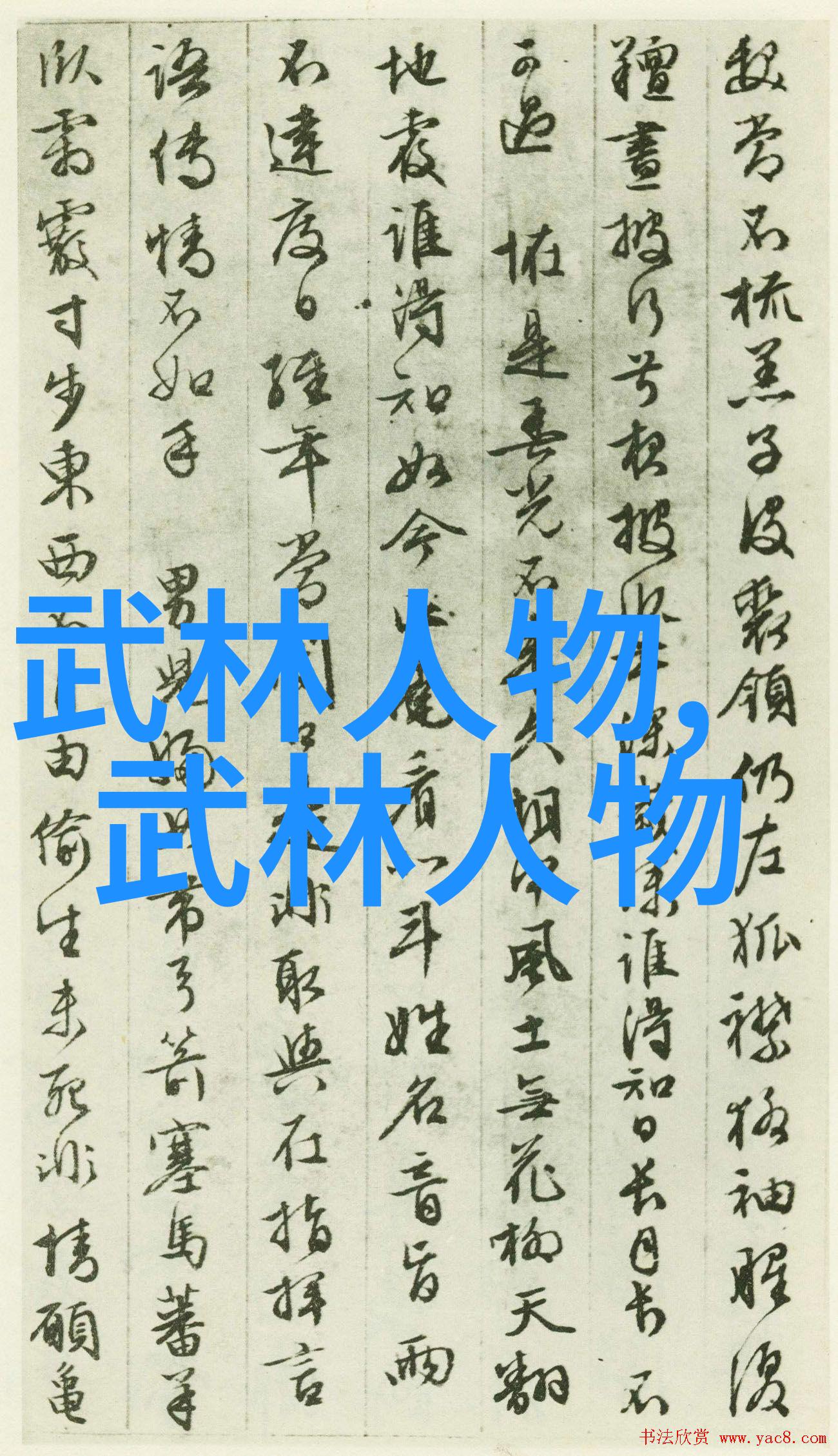 武林门派之大名府内藏绝世内家拳技掌门人威震九州