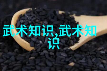 心意相通分析古代武术中的心灵沟通技巧