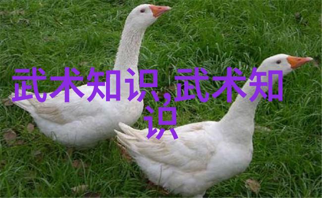 趣味团队-五人合体逗比小分队的欢乐冒险
