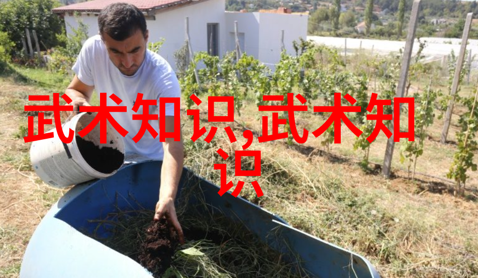 武林秘籍揭秘中华武术之巅
