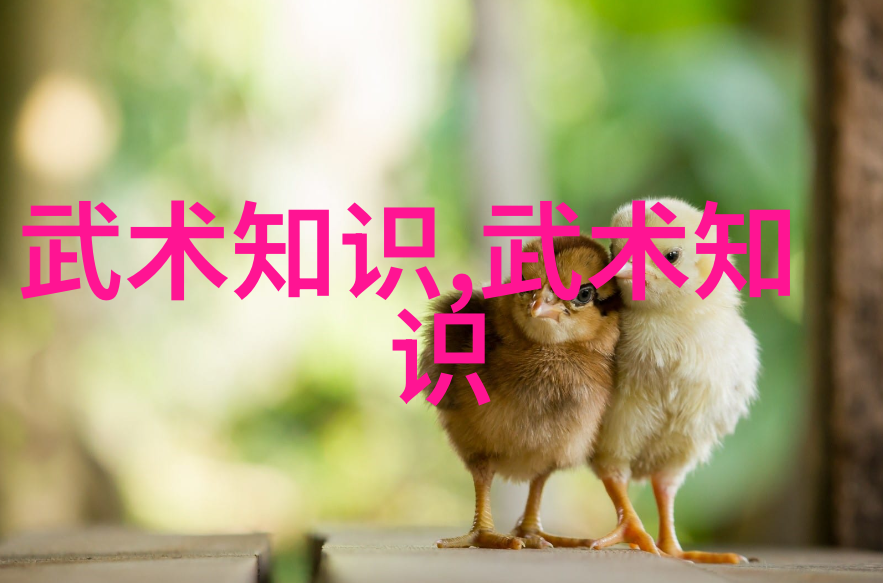 从西游记到仙剑奇侠传哪些帮会名字令人印象深刻