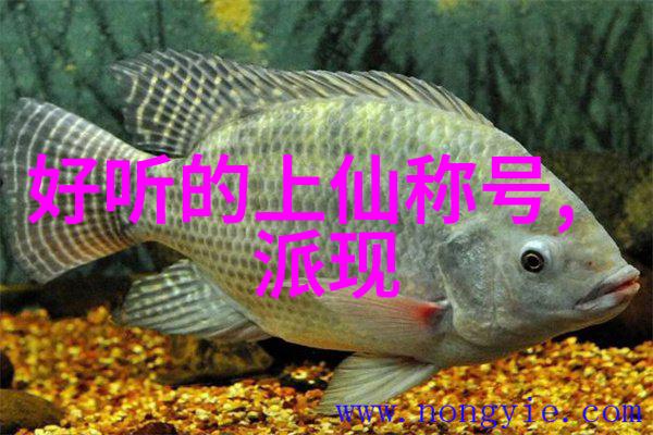 珍贵张柏芝私密照曝光下毛37张引争议