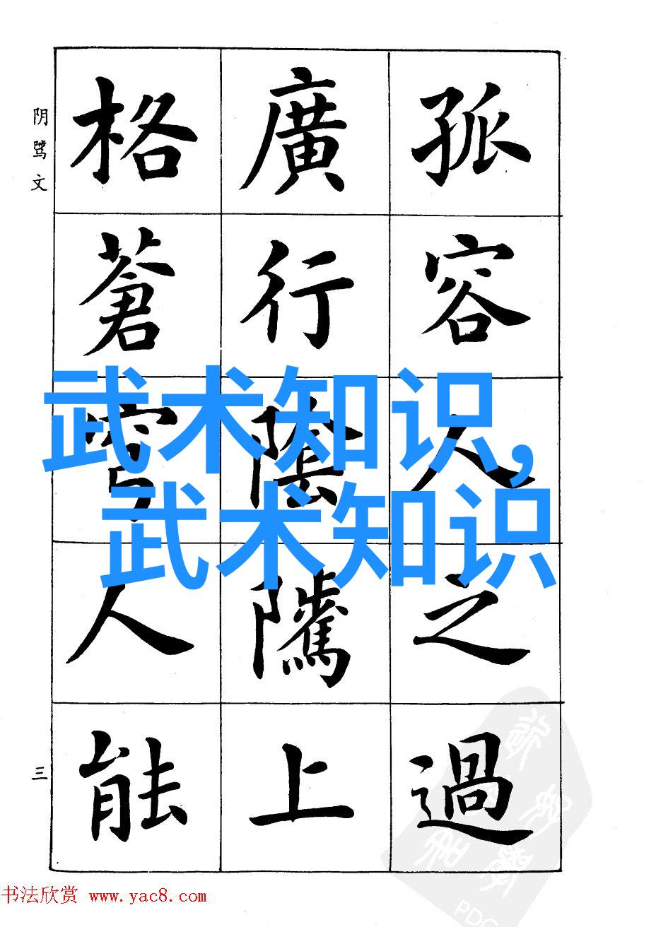 武学启蒙拳法初悟之旅