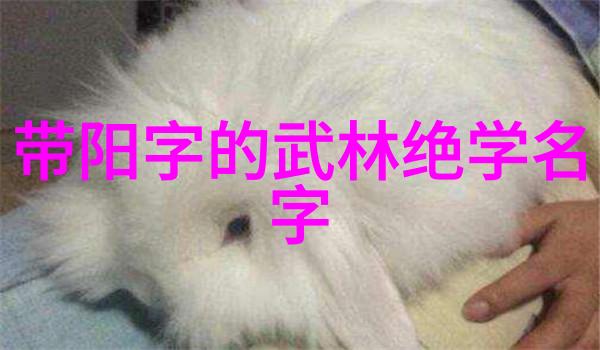 古风剑法名字-剪影翩跹探秘古代剑士的剑法秘籍