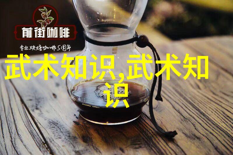 中国功夫中的精妙拳法包括禅定拳八卦掌形意拳等