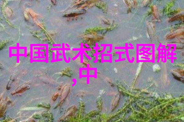 古风听闻录好听势力之谜