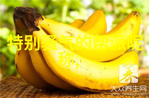 武道境界修行之路的九重天梯