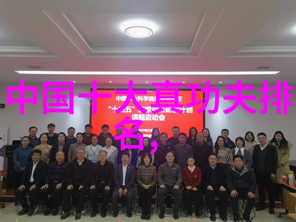 中国功夫秘籍大全太极拳内功的练习方法既要柔和又要有力
