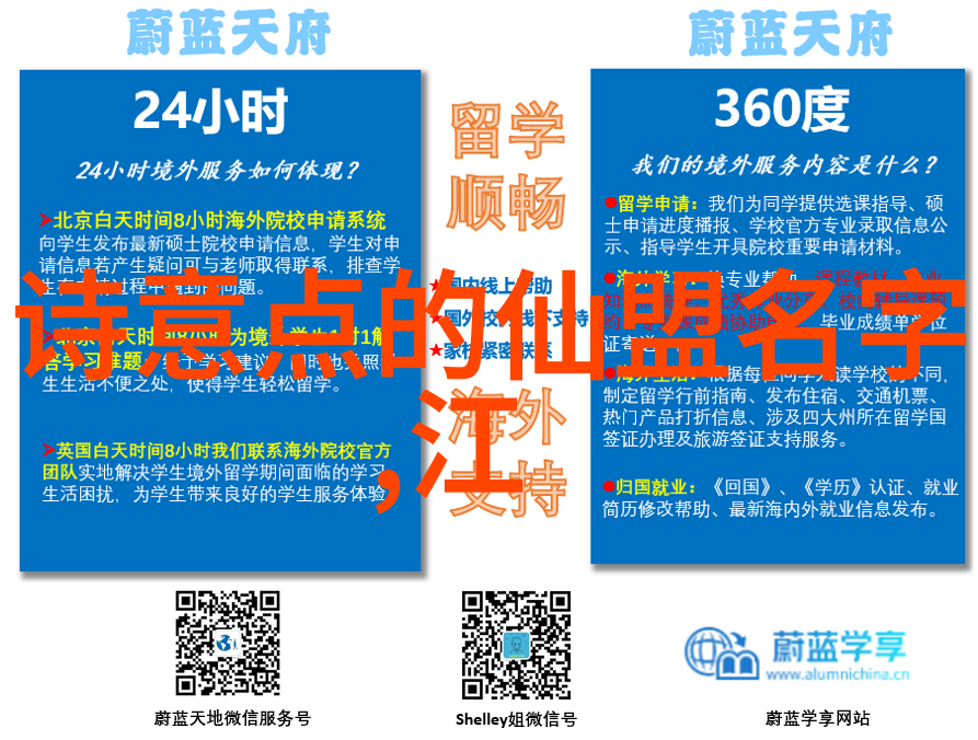 武林秘籍揭秘古今武功大全