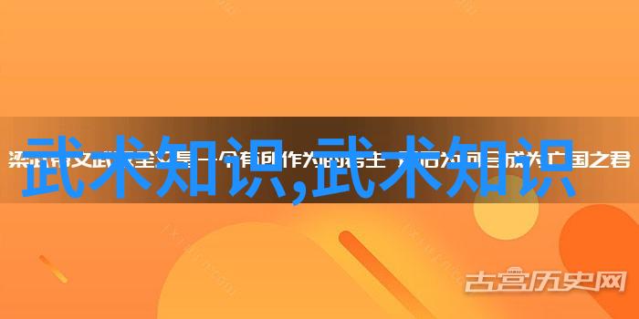 中国武侠小说中哪些拳法形象深入人心
