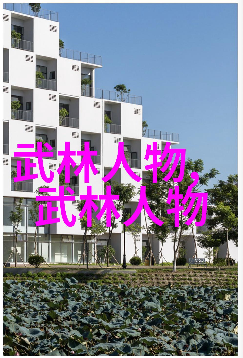 南拳和华拳哪个厉害-江湖论战探索南拳与华拳之争