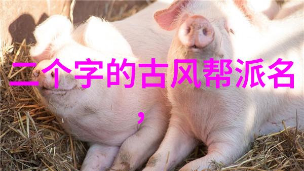 理解太极哲学在24式中寻找和谐与平衡