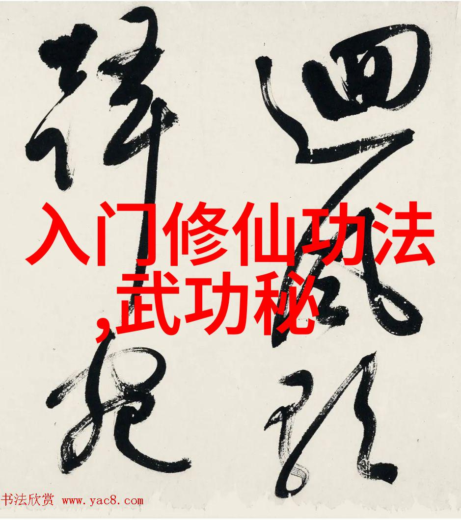 武林绝学集结拳法秘籍全集古老拳术的精髓与实战技巧