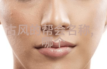 古韵书香阁传递着深厚文化底蕴的书籍emporium