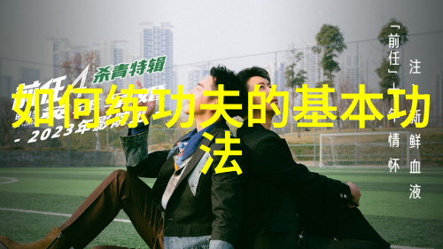 武学自悟探索内功外式的艺术之路