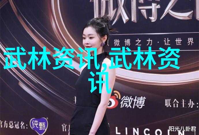 武林八大门派掌门人秘授陈家小架太极拳