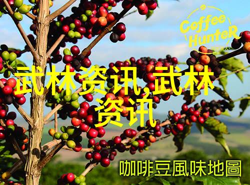 江湖烟云诗意帮派背后的秘密故事