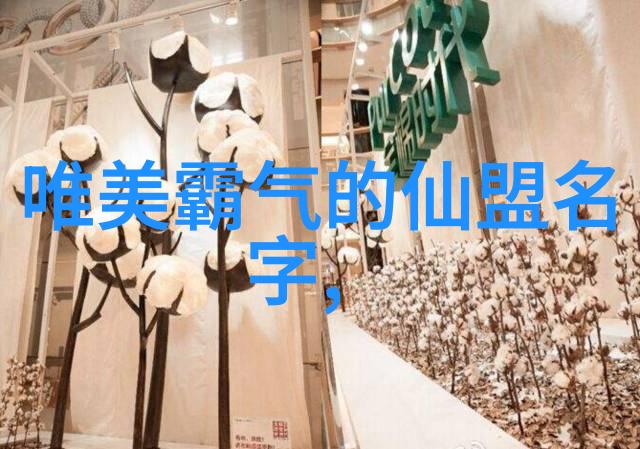 武术活动名称大全探索中华武学之美