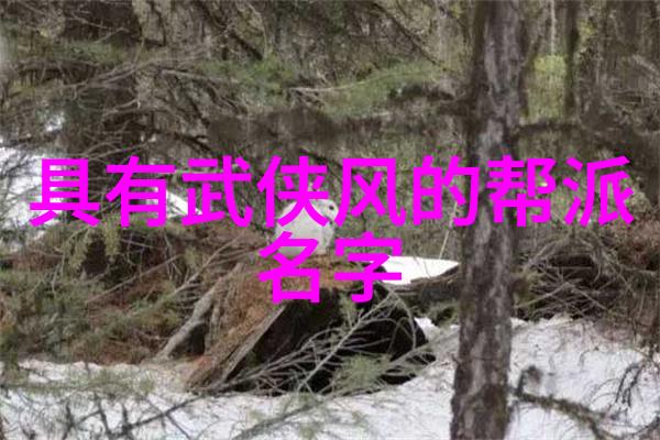 刀光剑影探秘用刀武林门派的荣耀与秘密