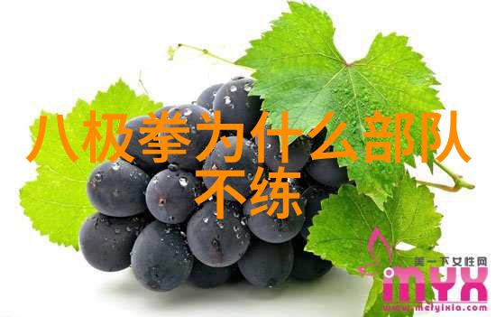武学巅峰解读十大顶级武功之谜