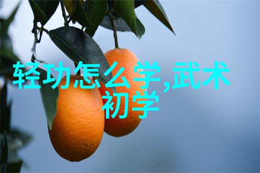 最新霸气军团名反复回响的田派太极拳
