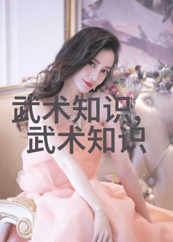 武术教程中华拳法技巧入门