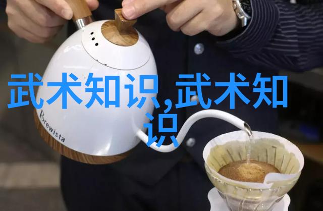 李雅轩太极拳论汇编武术资料网上的太极之魂如同古籍中的瑰宝珍藏着李氏的武学心得与实践经验