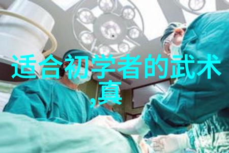 简化24式太极拳分解教学 - 精心解析让每一步都成为完美的太极之舞