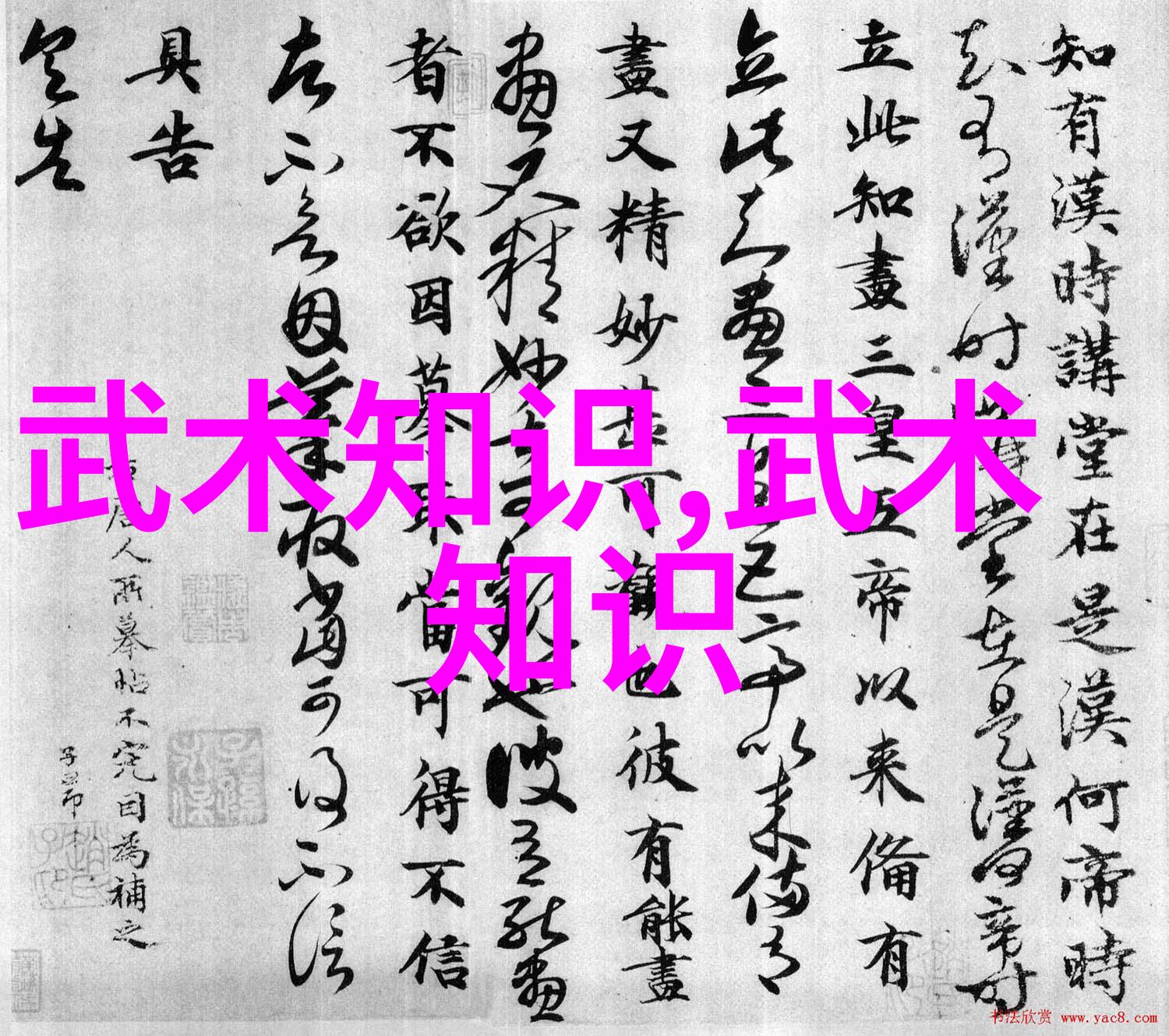 为何说掌握一门武技就意味着承担更大的责任和风险