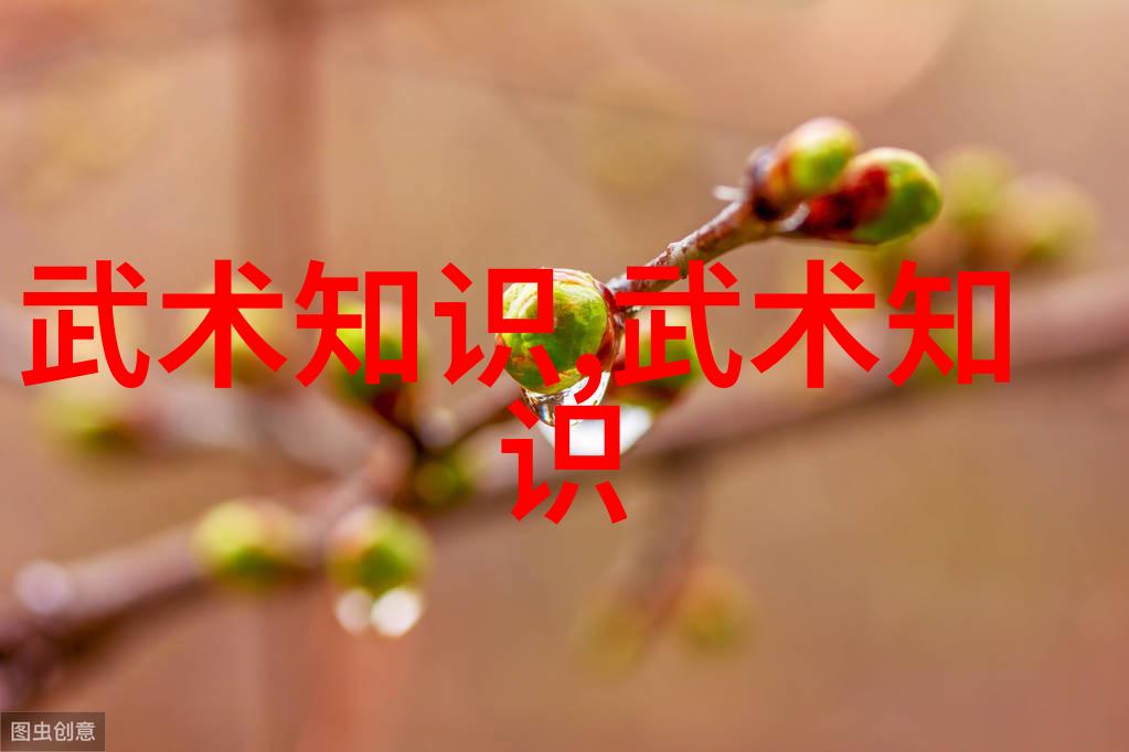 魔王的赞歌献给黑暗之主的永恒颂歌