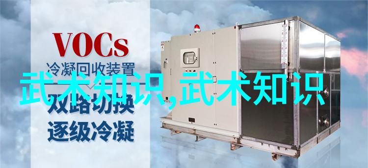 武林八大门派掌门人聚英会之风云际劫