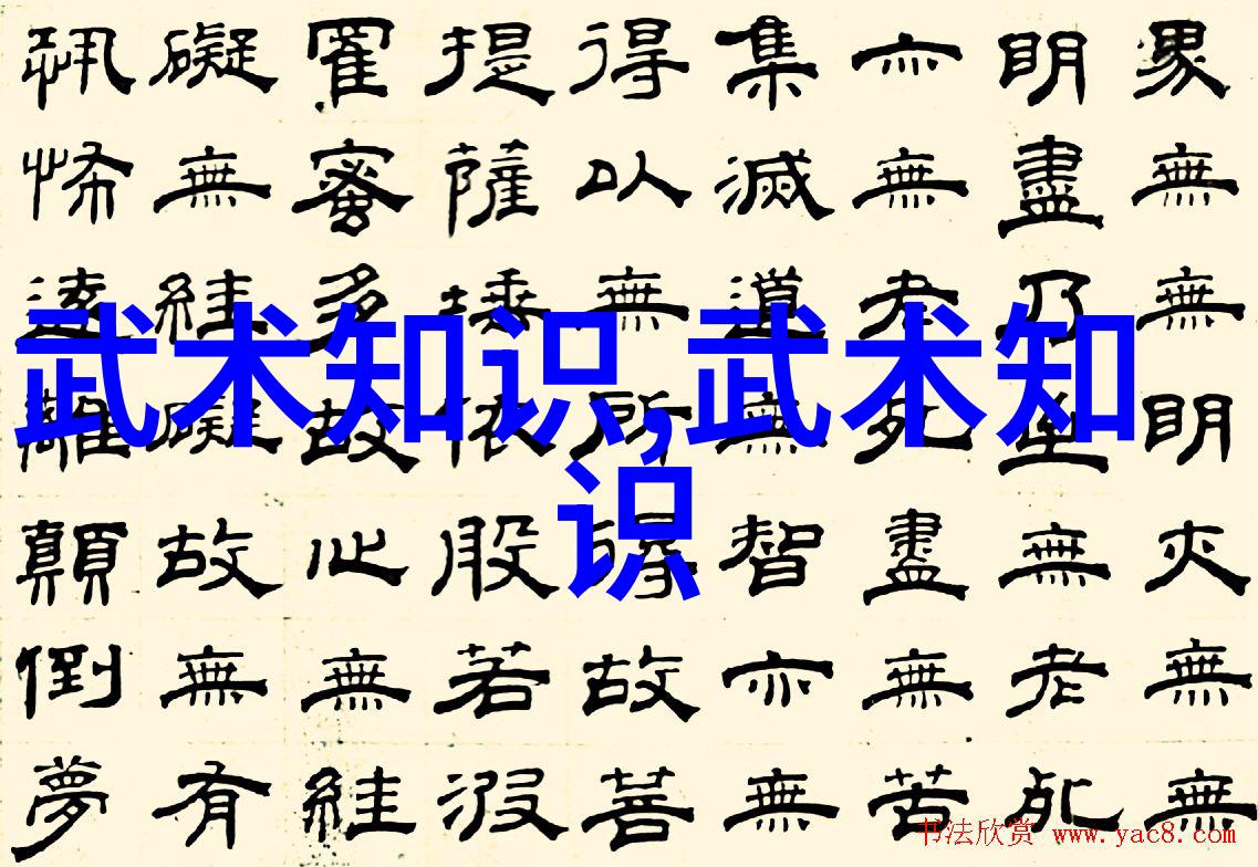 武术万维网官网古典功夫教程现代格斗技巧传统内功练习