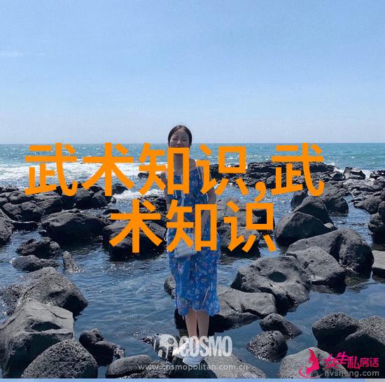 太极拳24式分解动作教学 - 揽月捉星深入剖析太极拳24式的每一招