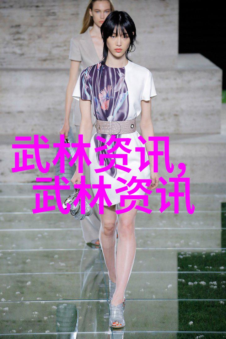 武林八大门派掌门人的宝剑之争佛汉拳的精髓