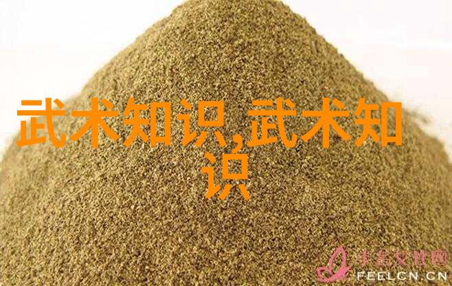 少林武学之巅揭秘古老拳法的绝技